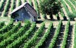 La Perrire - chambres d'htes du Bugey  Chanay dans l'Ain (01)
